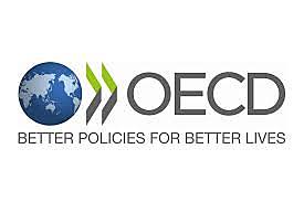 se dan las pautas relativas a la protección de la privacidad y límites de transferencia de datos personales.