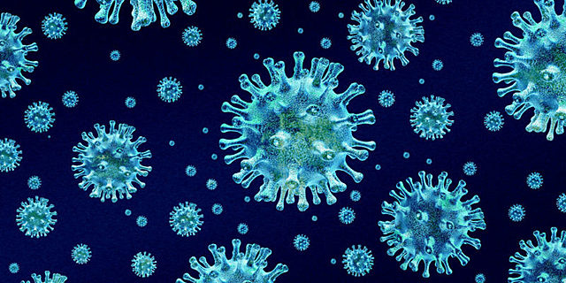 Antoni Van Leeuwenhoek