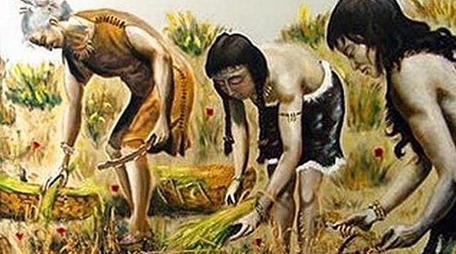 Agricultura en la edad obscura