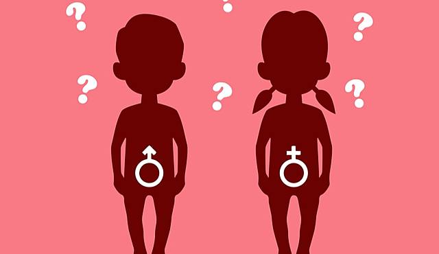 Sexualidad infantil Sigmund Freud