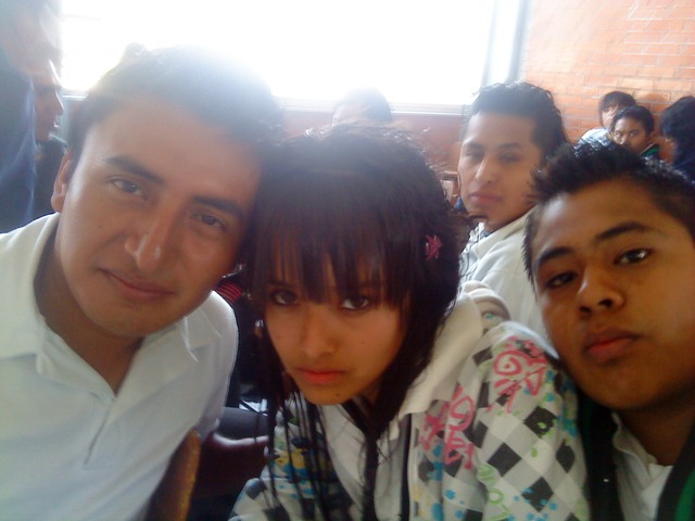 INTEGRANTES DEL EQUIPO