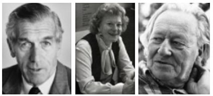 Wazlawick, Satir y Batenson