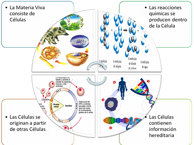 Teoría celular moderna