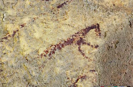 Primera imagen antigua