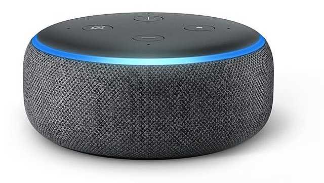 GOOGLE echo dot