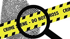 Timeline: The Development of CSI Sciences