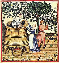 Se empieza a utilizar costos de producción (COSTO)