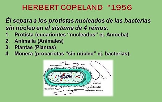 Herbert Faulkner Copeland