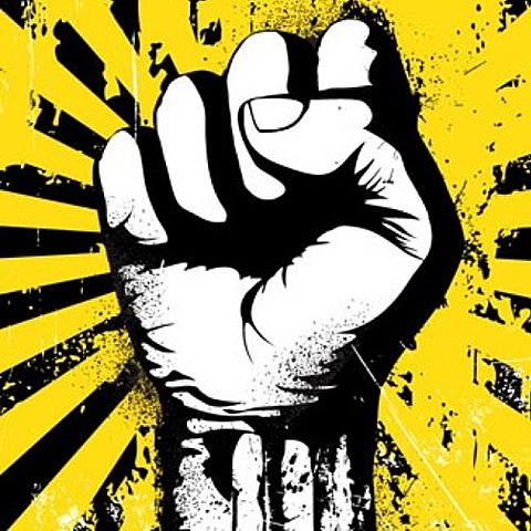 Reconocimiento de las Instituciones por Legislación Ordinaria.