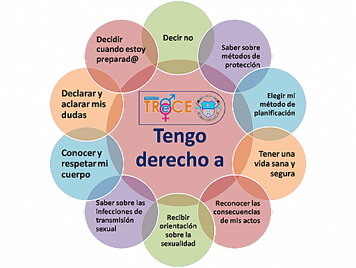 Constitución Política (1991)