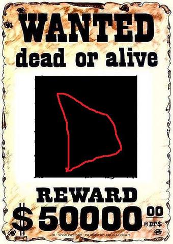 D had run and dissapeared!!