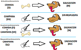 Teoría conductual. Iván Petróvich Pávlov
