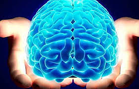 La Neurologia de Freud