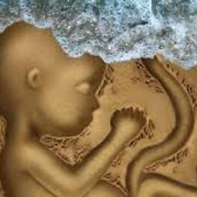 Timeline: Origenes del comienzo de la vida.