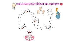 Características del desarrollo neonatal