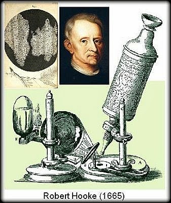ROBERT HOOKE