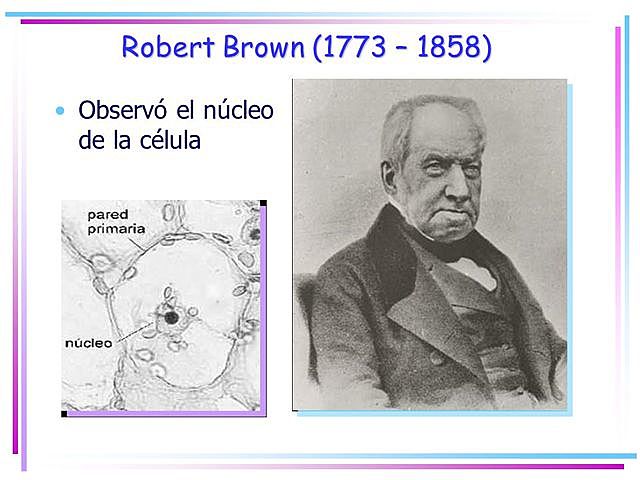 ROBERT BROWN