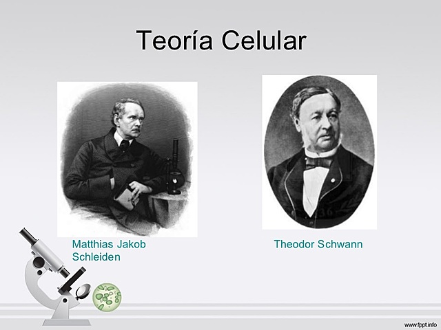 MATTIHAS SCHEIDEN Y TEODOR SCHWAM