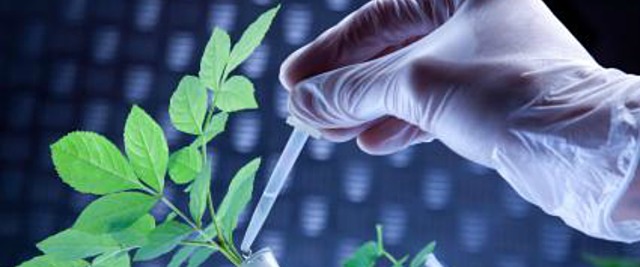 Protocolo de Seguridad en Biotecnología