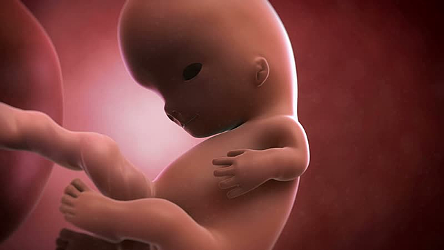 Semana 9 "Empieza su movimiento"