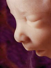 Semana 16 "Sus ojos se mueven"