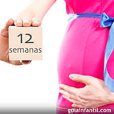 Semana 12 de embarazo