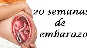 Semana 20 de embarazo