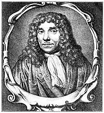 Johan Ham van Arnheim y Anton van Leeuwenhoek (1677 D.C.)