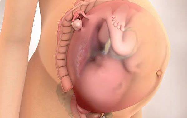 Semana 28 de embarazo