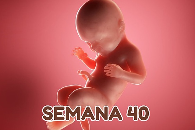 Semana 40