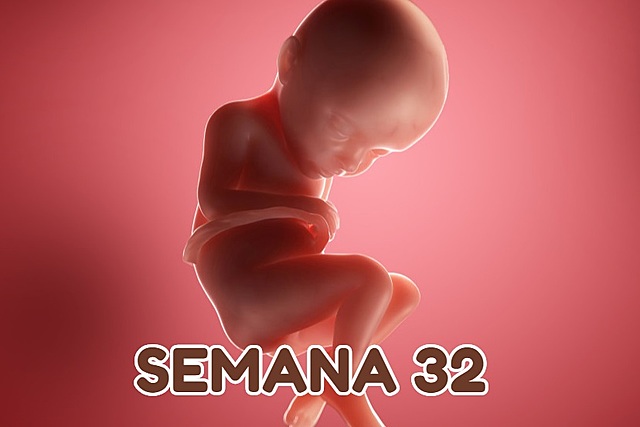 SEMANA TREINTA Y DOS