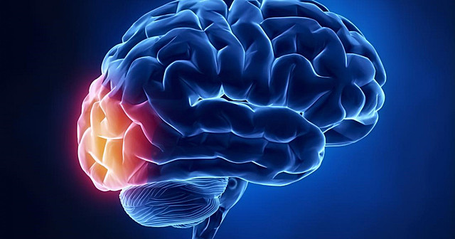 Observación de Munk