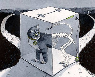 Experimento del gato de Schrödinger