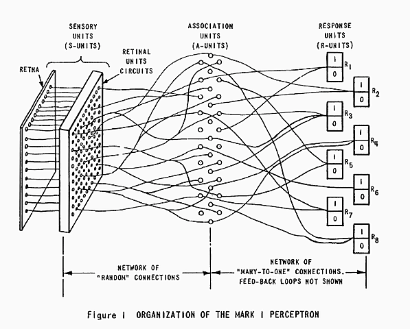 La primer red neuronal