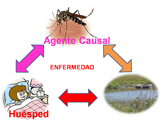 MODELO CAUSAL-ECOLOGISTA