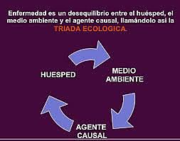 EL modelo de la triada ecologica.