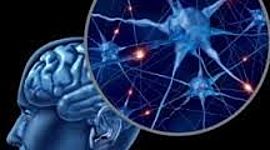 Timeline: Orígenes históricos de la Psicobiolgía