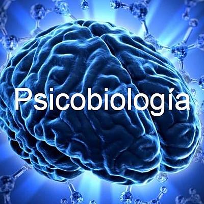 Timeline: Desarrollo de la psicobiologia.