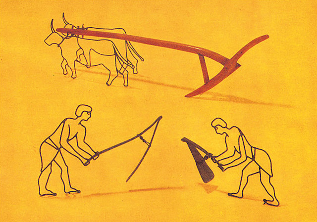 Aparición desarrollo Agropecuario