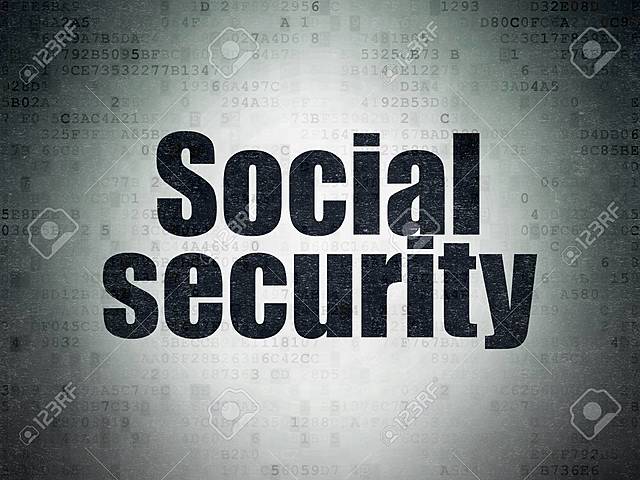 Definición de Seguridad Social por Perez Leñero