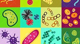 Timeline: MICROBIOLOGIA 2000-2020