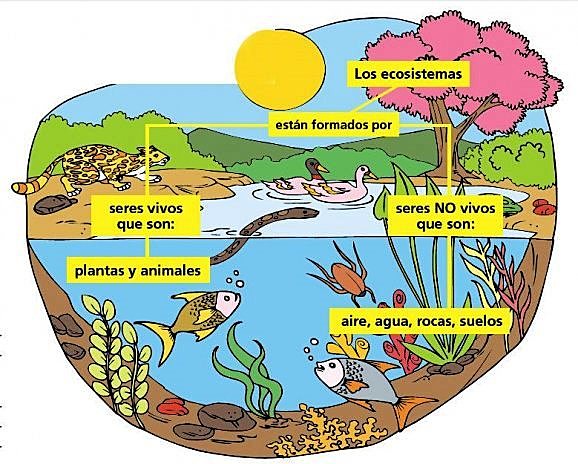 Asentamiento agrícola - Ecosistema