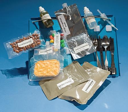 Processed foods for astronauts