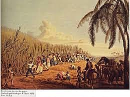 1535 a 1837 El azúcar ya estableció  el comercio (el caribe como materia prima, Europa como mercado y África como mano de obra)