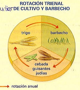 Innovaciones de la agricultura
