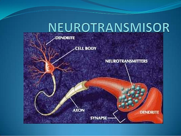 Nneurotrasmisores