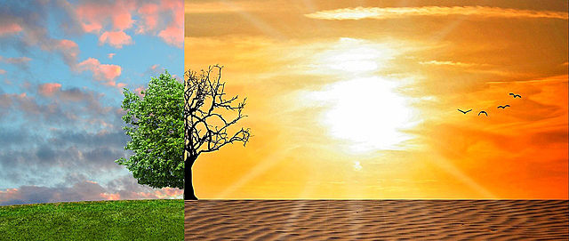 Movimientos de la sociedad civil y de la academia