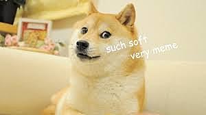 La primera descripción sobre alteraciones perceptuales consecuentes al daño cerebral la realizó Munk