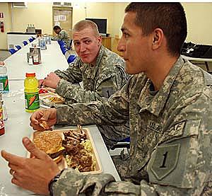 Problema de la dieta