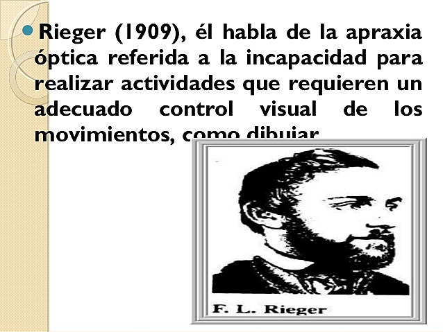 Primer investigador sobre objetos - daño cerebral